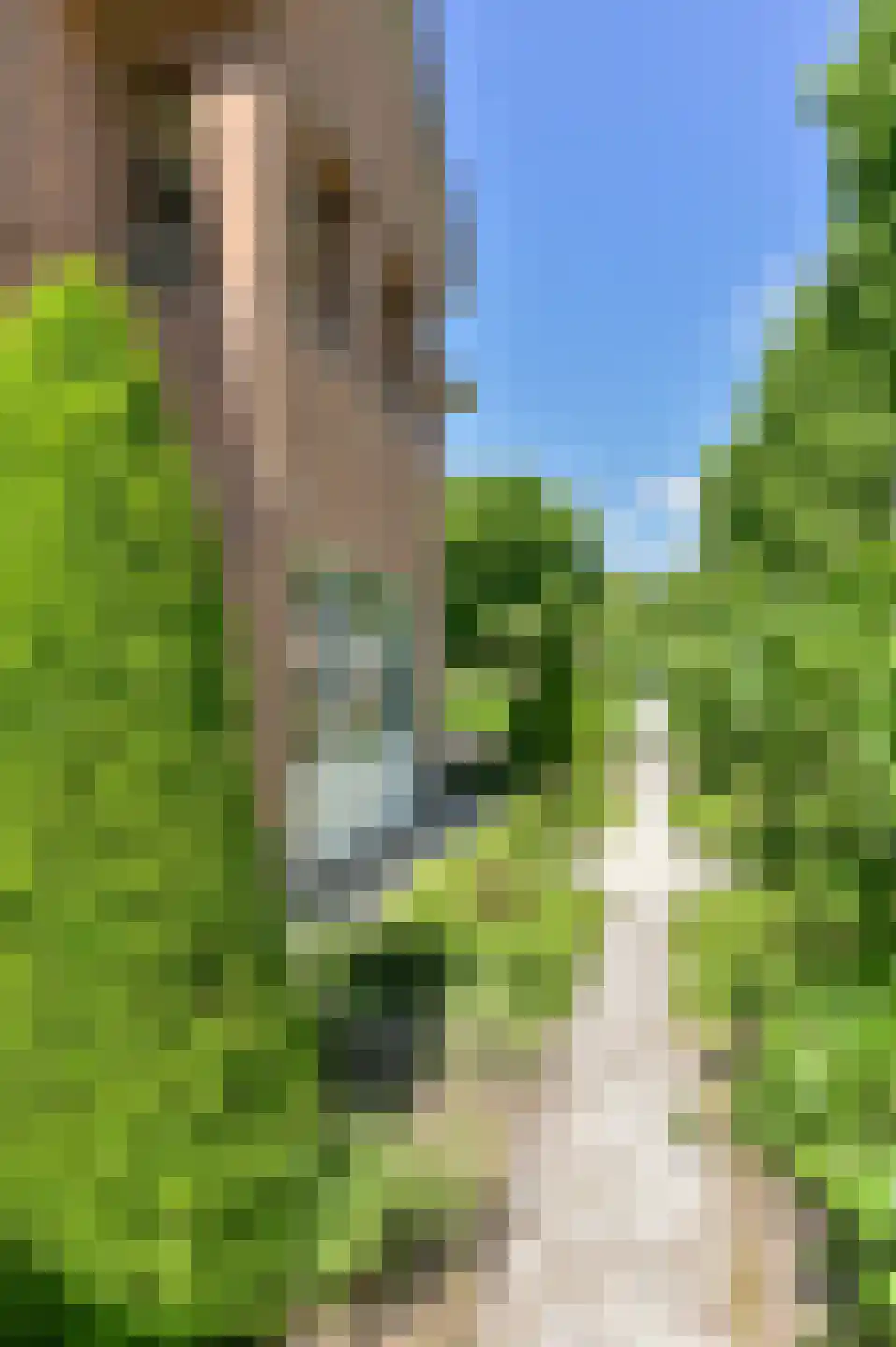 Hoveniersland 64 Noordscheschut thumbnail 100