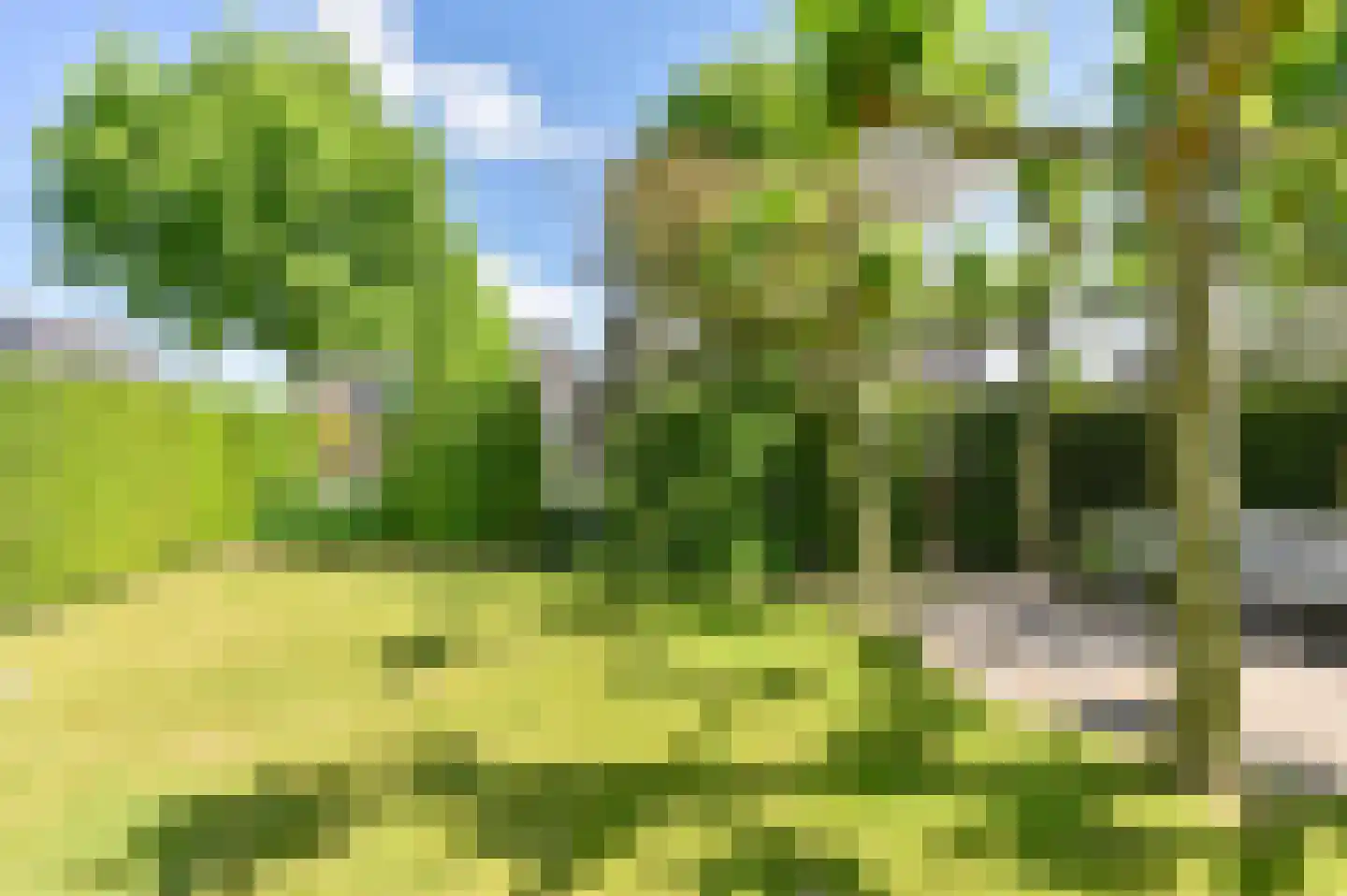 Hoveniersland 64 Noordscheschut thumbnail 59