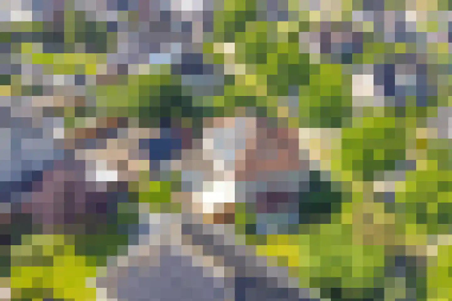 Hoveniersland 64 Noordscheschut thumbnail 67