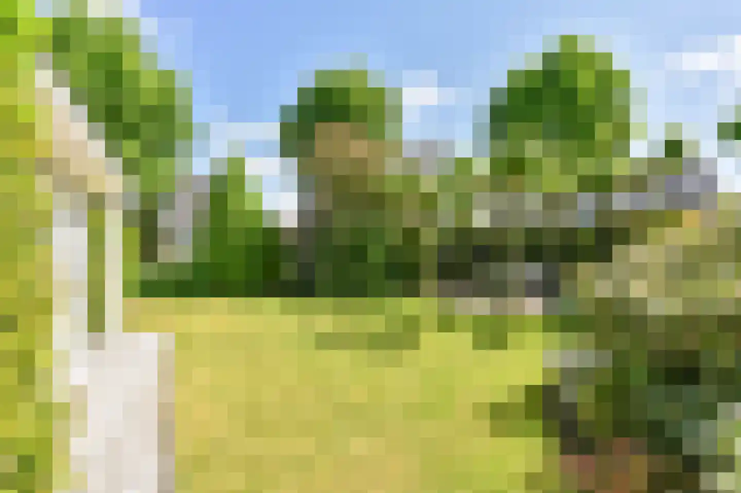 Hoveniersland 64 Noordscheschut thumbnail 94