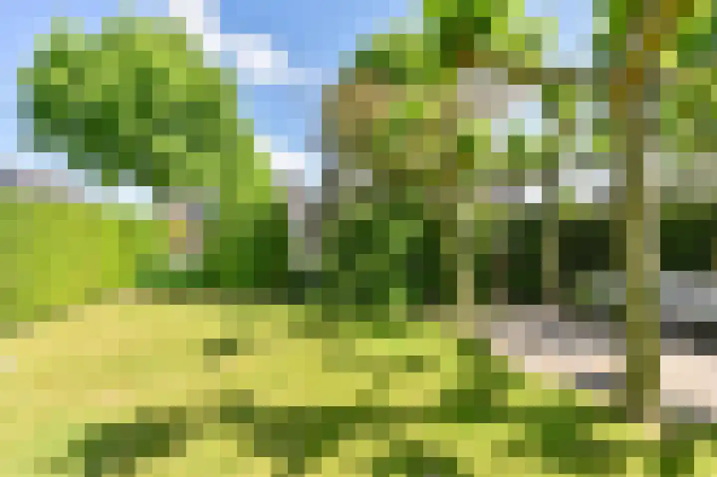 Hoveniersland 64 Noordscheschut thumbnail 95