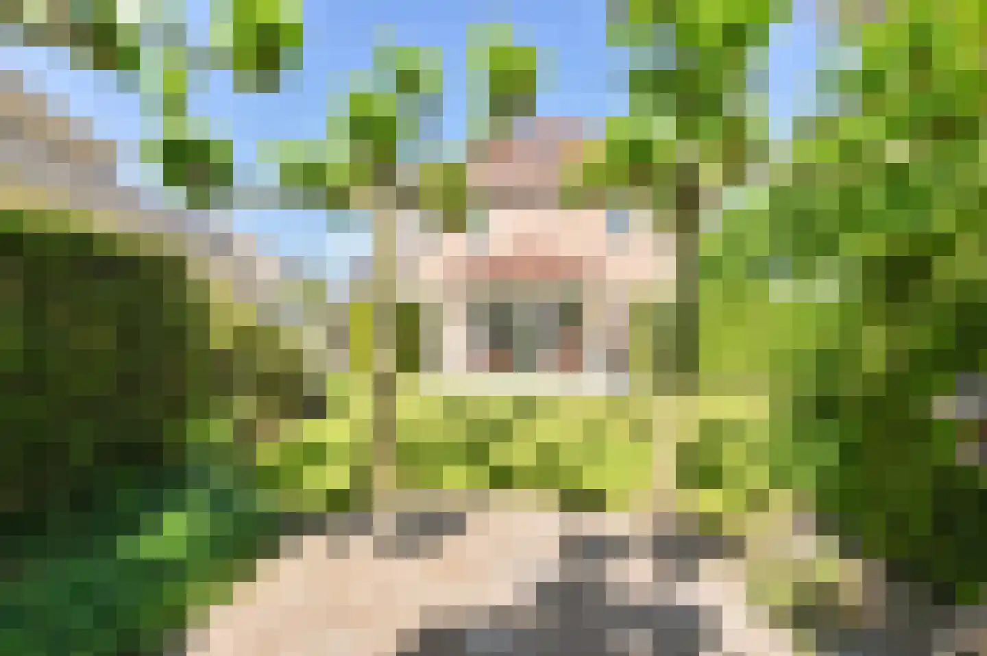 Hoveniersland 64 Noordscheschut thumbnail 96