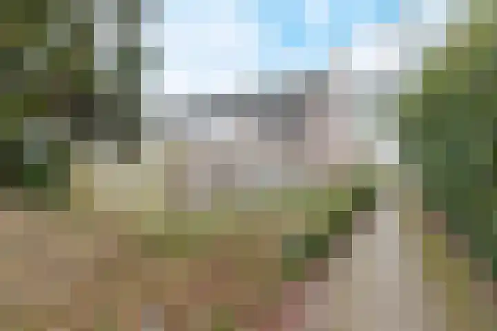Hoveniersland 8 Zaltbommel thumbnail 27