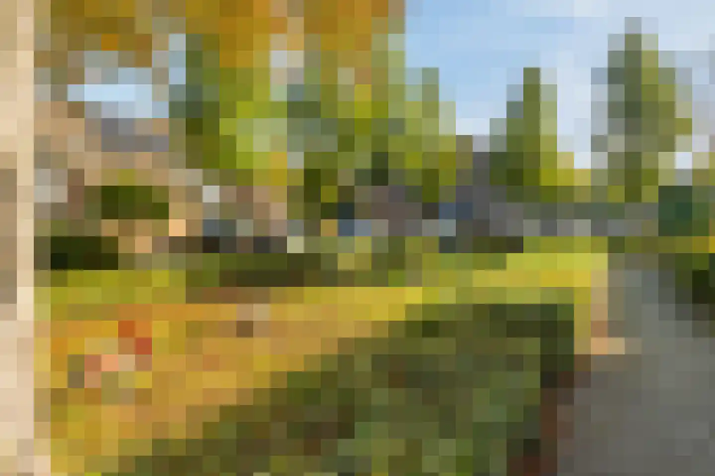 Hoveniersland 8 Zaltbommel thumbnail 35