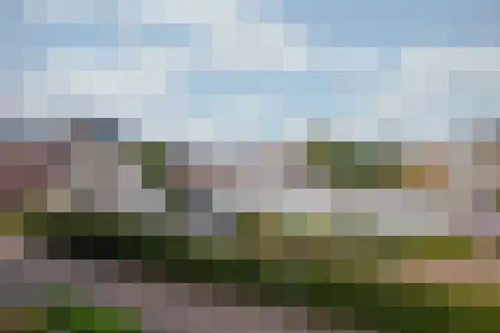Hovenierspad 30 Doetinchem thumbnail 33