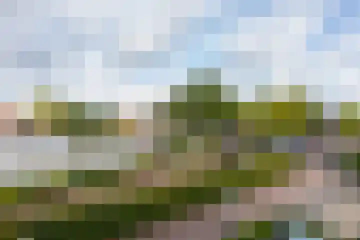 Hovenierspad 30 Doetinchem thumbnail 34