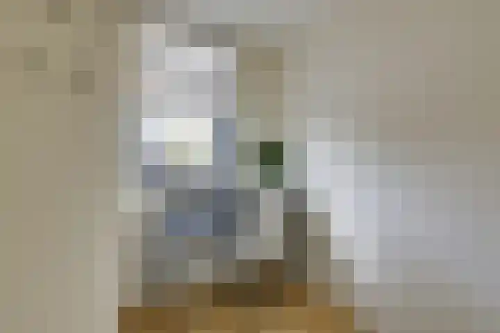 Hovenierspad 30 Doetinchem thumbnail 37
