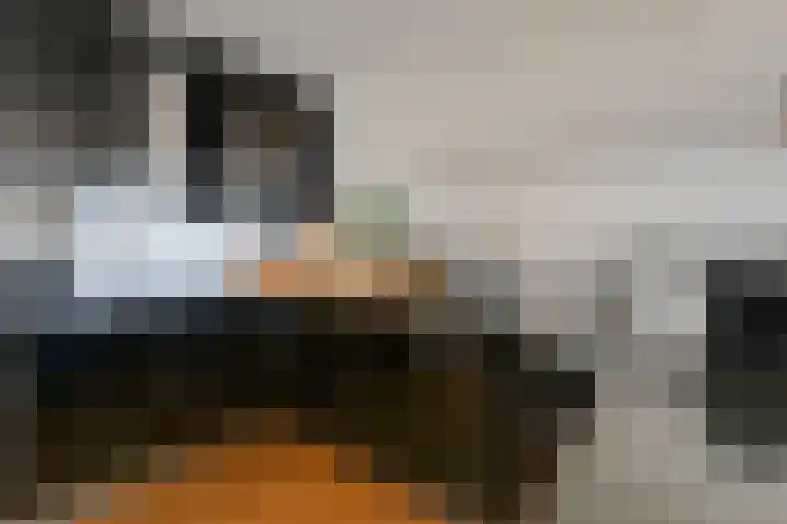 Hovenierspad 30 Doetinchem thumbnail 4