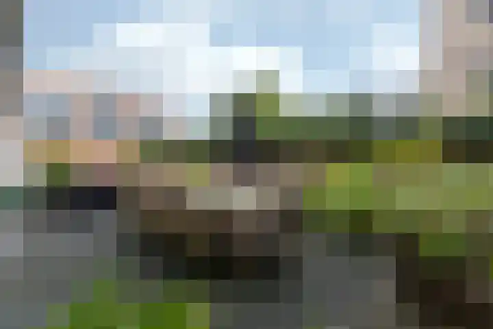 Hovenierspad 30 Doetinchem thumbnail 45