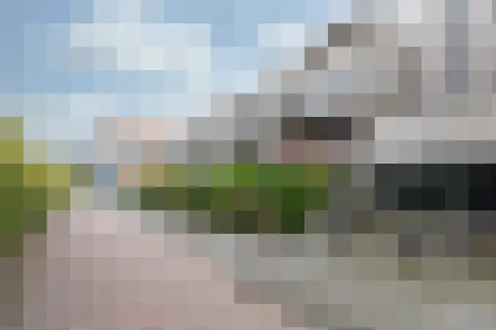 Hovenierspad 30 Doetinchem thumbnail 9