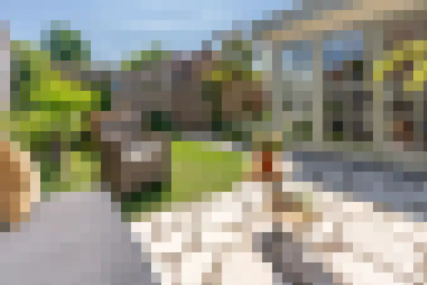 Hoveniersstraat 25 Utrecht thumbnail 28