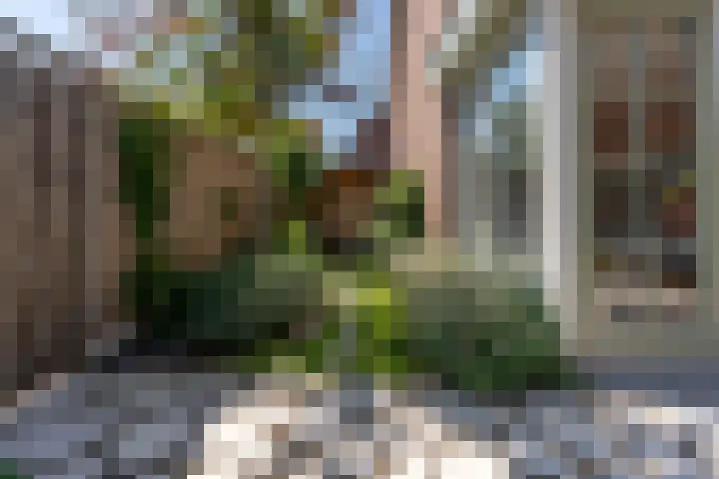 Hoveniersstraat 25 Utrecht thumbnail 30