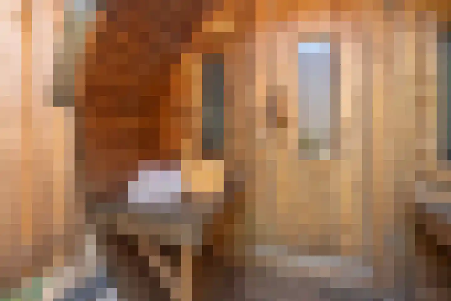 Hoveniersstraat 25 Utrecht thumbnail 34