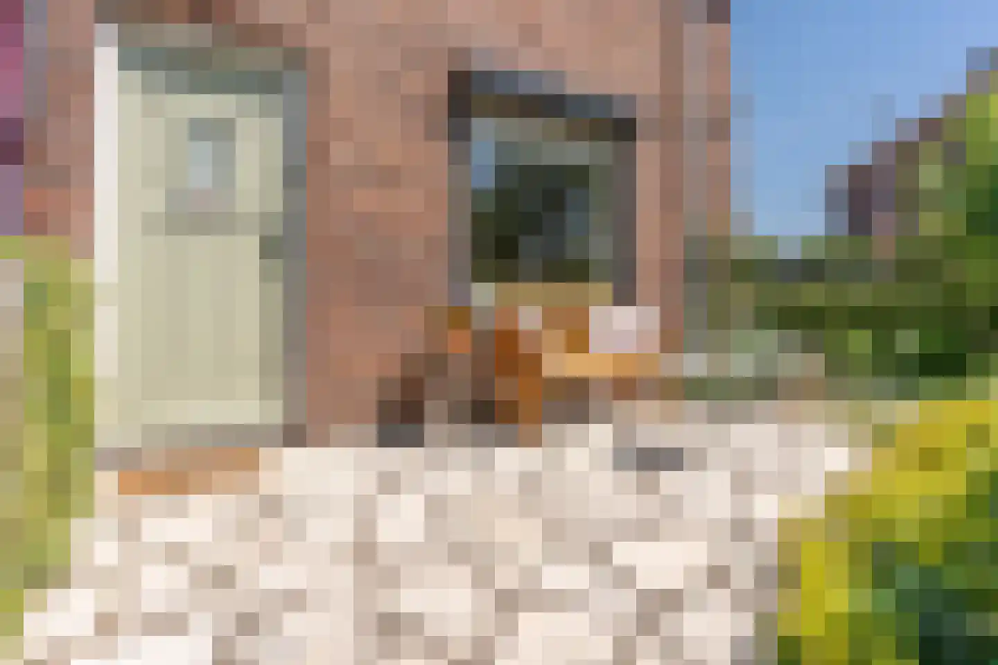 Hoveniersstraat 25 Utrecht thumbnail 7