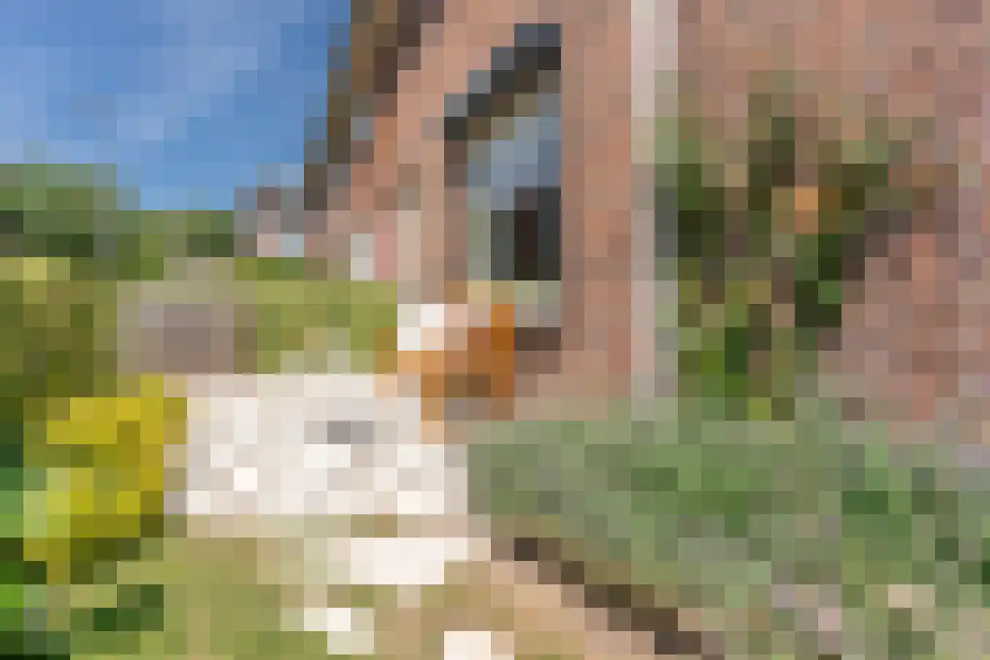 Hoveniersstraat 25 Utrecht thumbnail 8
