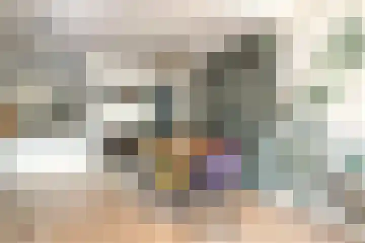 Hoveniersstraat 3 Utrecht thumbnail 11