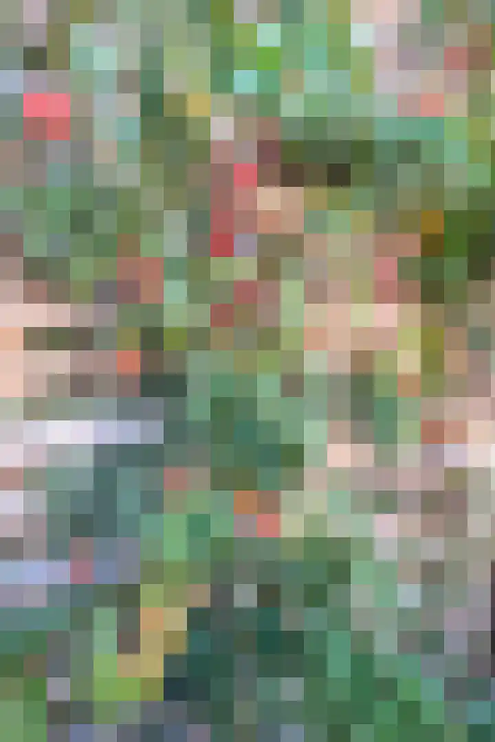 Hoveniersstraat 3 Utrecht thumbnail 32