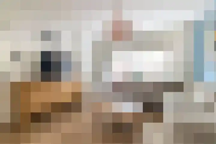 Hoveniersstraat 3 Utrecht thumbnail 6