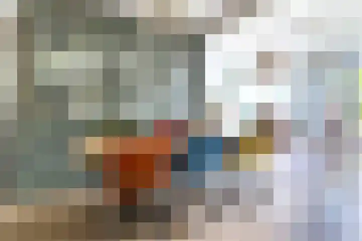 Hoveniersstraat 3 Utrecht thumbnail 7