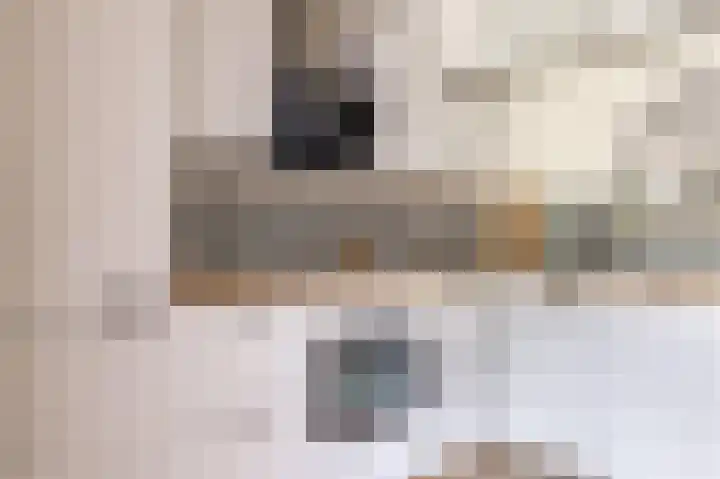 Hoveniersstraat 3 Utrecht thumbnail 8