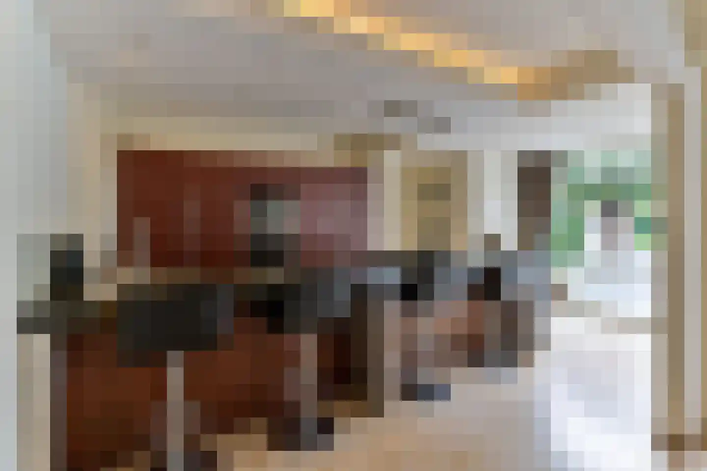 Hoveniersstraat 4 Baarlo thumbnail 15