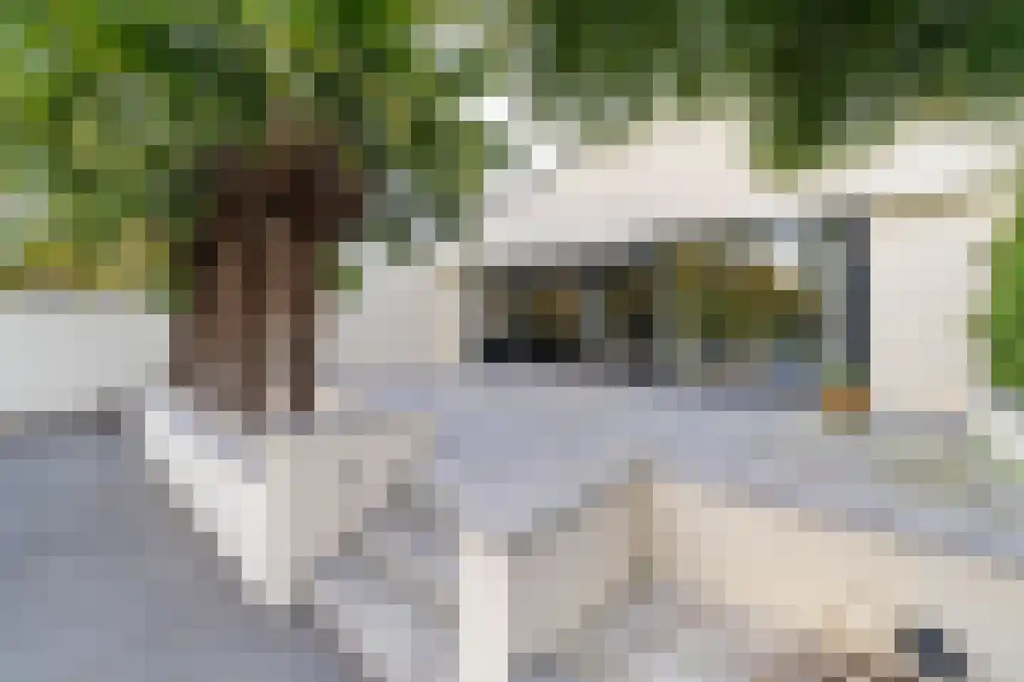 Hoveniersstraat 4 Baarlo thumbnail 24