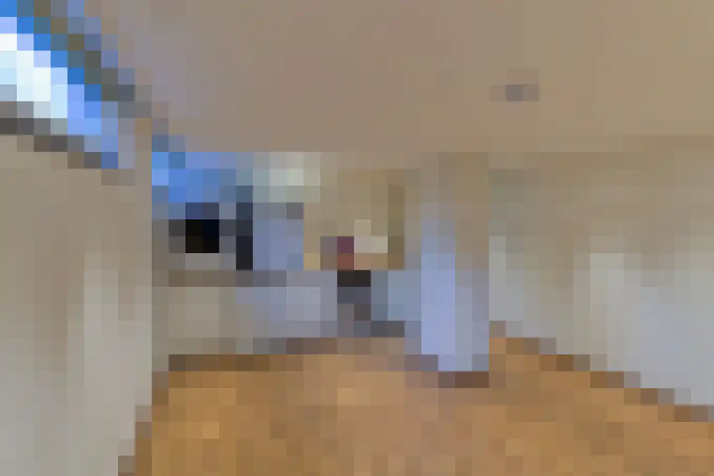 Hoveniersstraat 4 Baarlo thumbnail 32