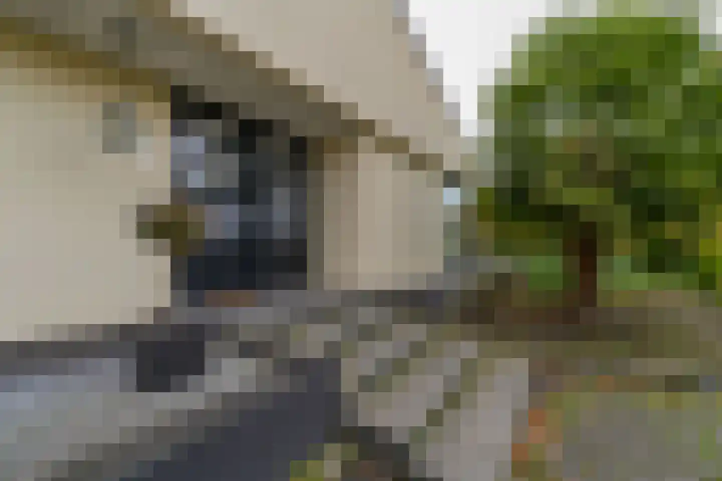 Hoveniersstraat 4 Baarlo thumbnail 4