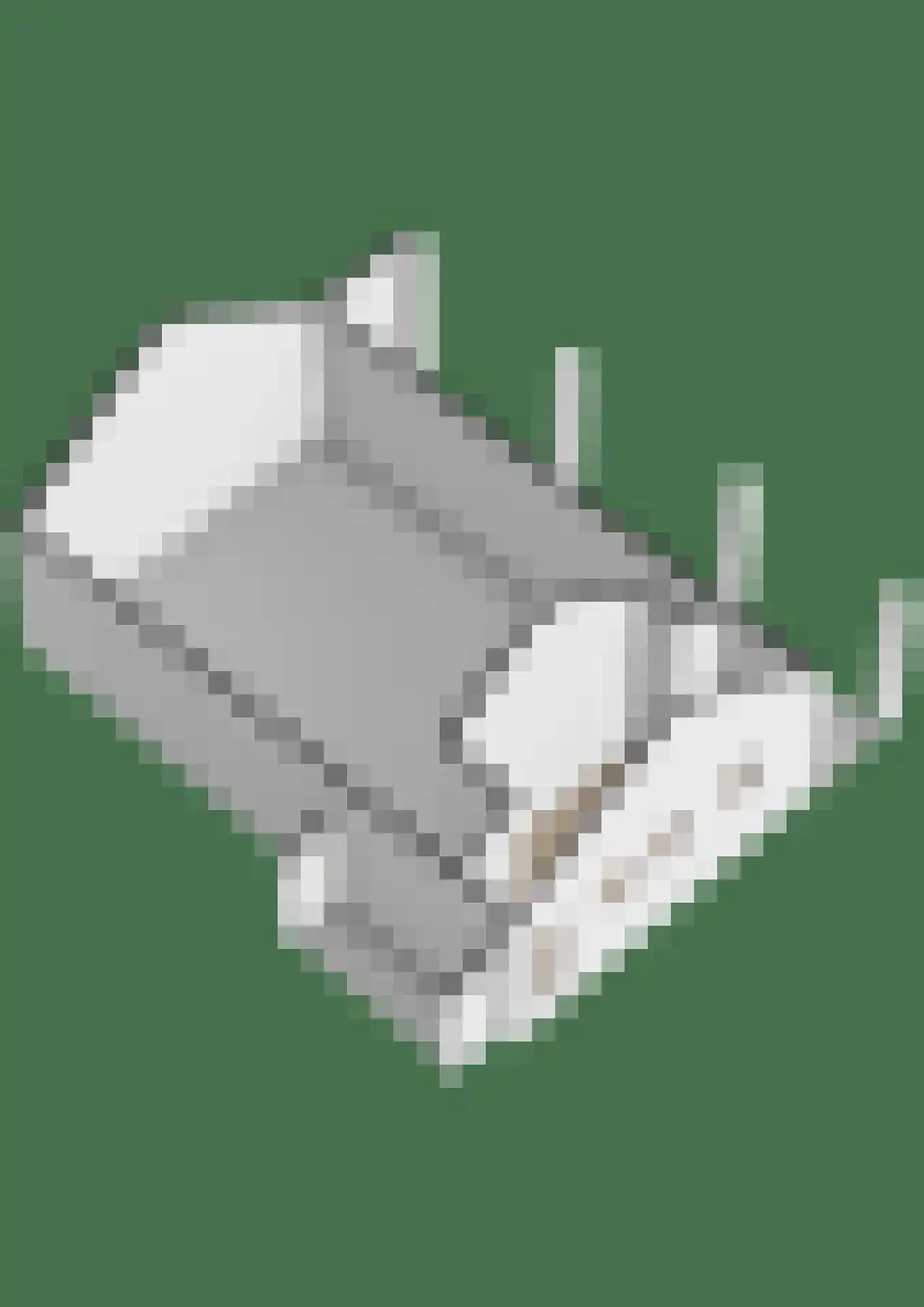 Hoveniersstraat 4 Baarlo thumbnail 47