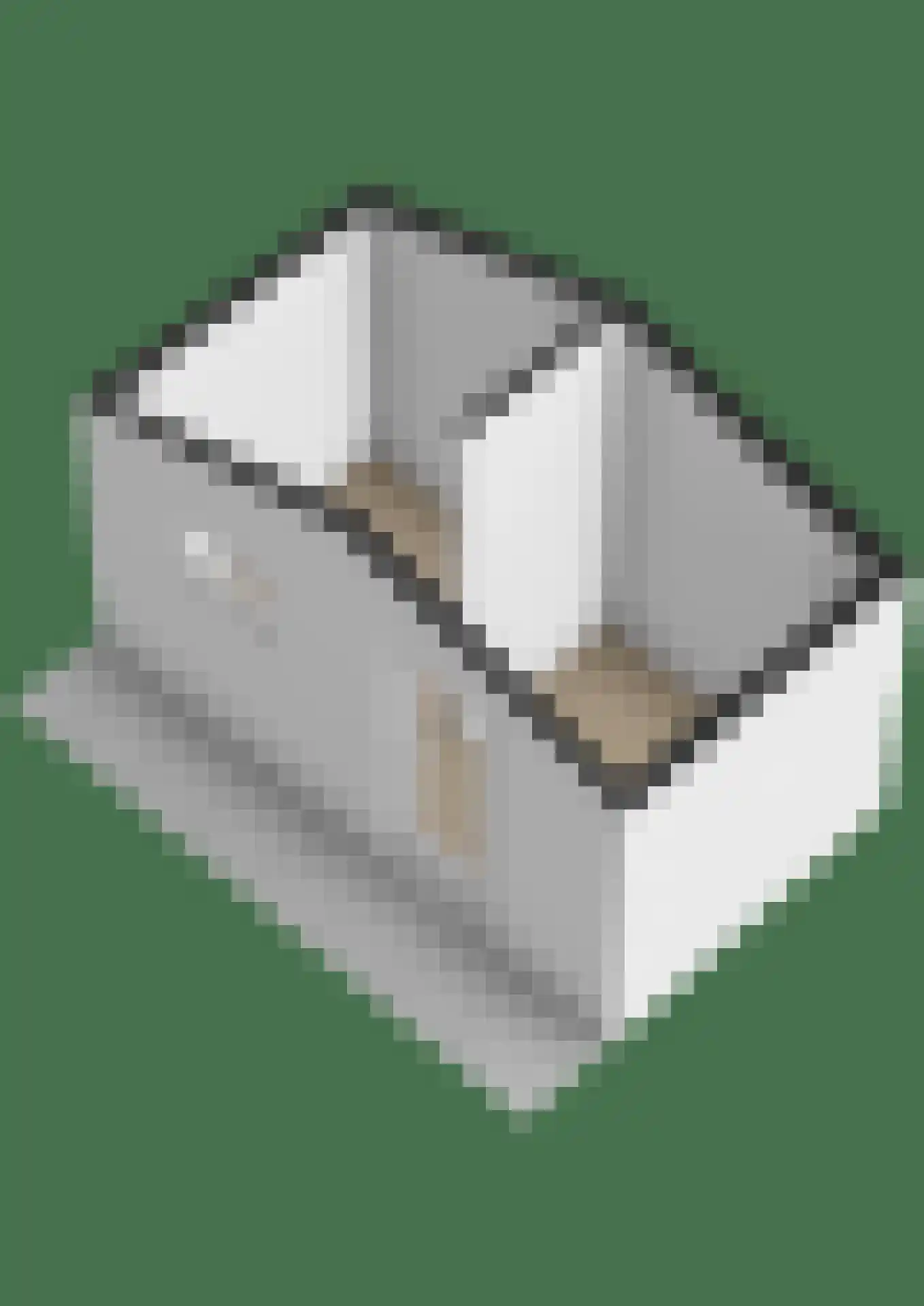 Hoveniersstraat 4 Baarlo thumbnail 49