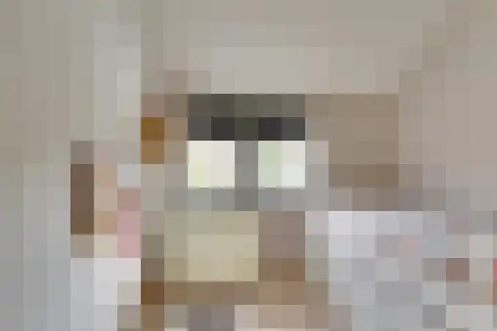 Hoveniersstraat 5 Utrecht thumbnail 33