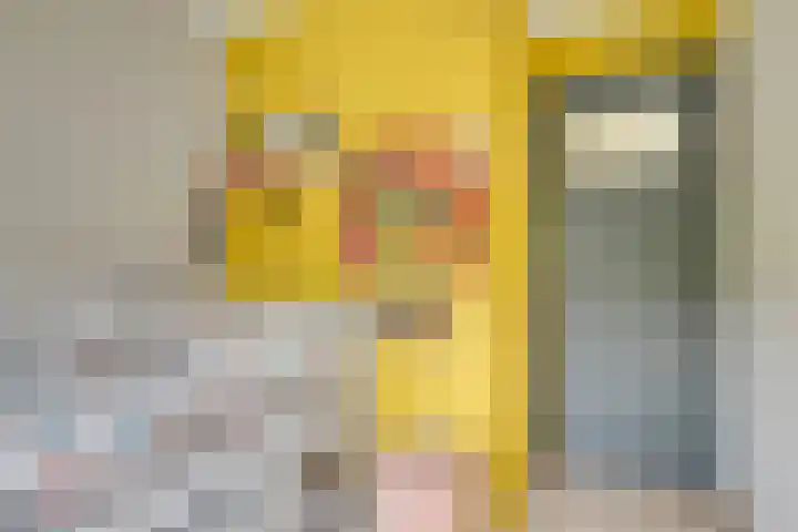 Hoveniersstraat 5 Utrecht thumbnail 35