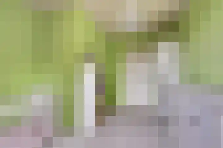 Hoveniersstraat 6 Baarlo thumbnail 26