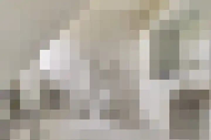 Hoveniersstraat 6 Baarlo thumbnail 33