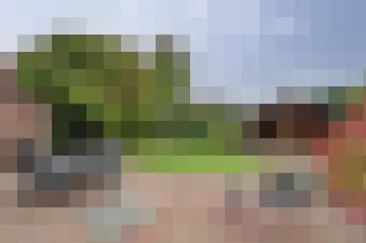 Hoveniersstraat 6 Baarlo thumbnail 35