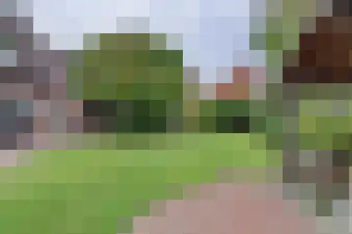 Hoveniersstraat 6 Baarlo thumbnail 36