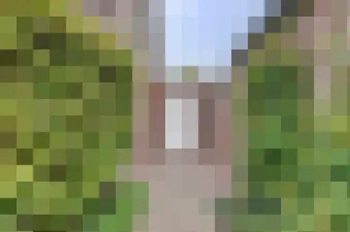 Hoveniersstraat 6 Baarlo thumbnail 39
