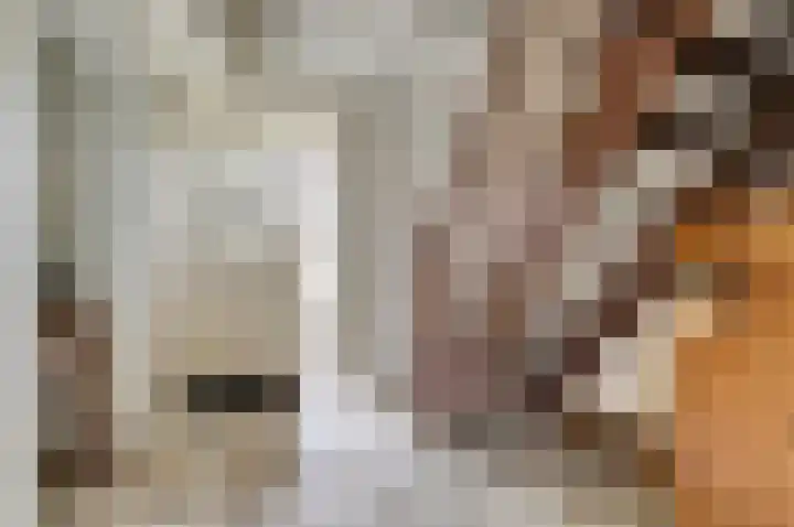 Hoveniersstraat 6 Baarlo thumbnail 6
