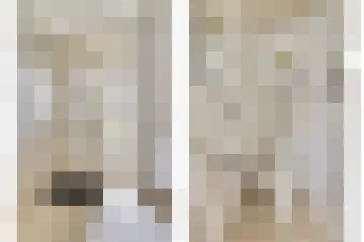 Hoveniersstraat 6 Baarlo thumbnail 7