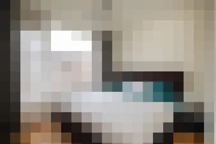 Hoveniersstraat 7 B Rotterdam thumbnail 10