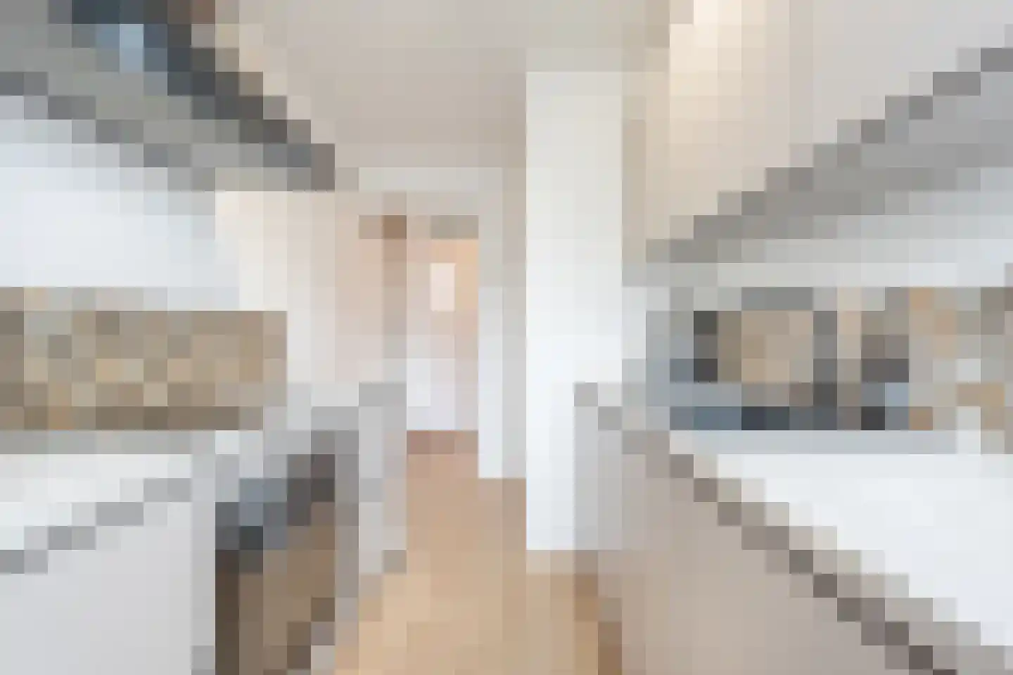 Hoveniersstraat 9 B Rotterdam thumbnail 11