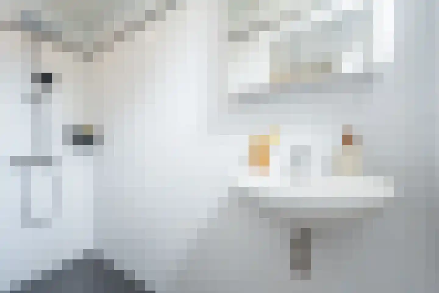 Hoveniersstraat 9 B Rotterdam thumbnail 21
