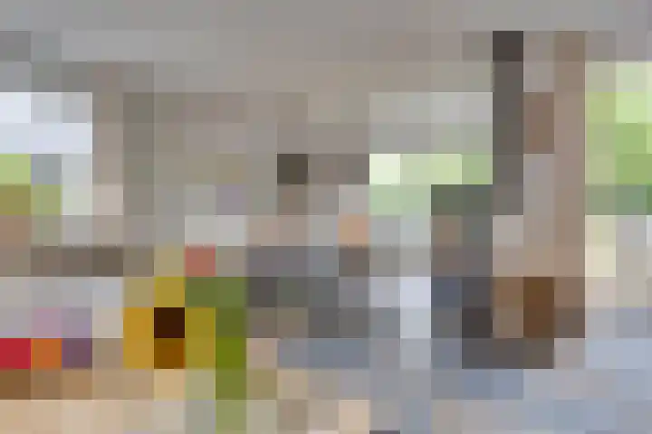 Hoveniersstraat 9 Baarlo thumbnail 13