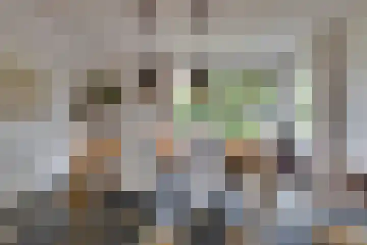 Hoveniersstraat 9 Baarlo thumbnail 15