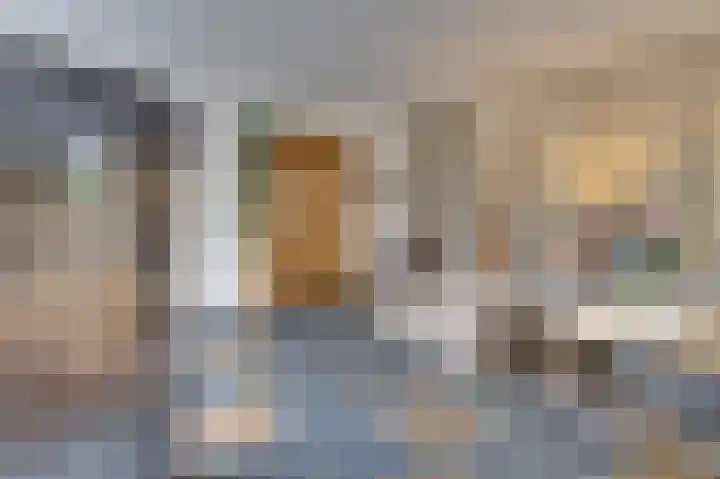 Hoveniersstraat 9 Baarlo thumbnail 17