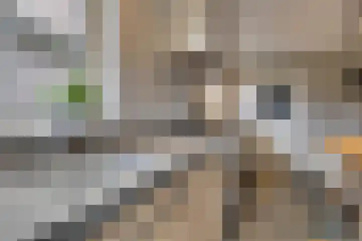 Hoveniersstraat 9 Baarlo thumbnail 19