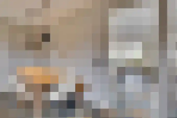 Hoveniersstraat 9 Baarlo thumbnail 20