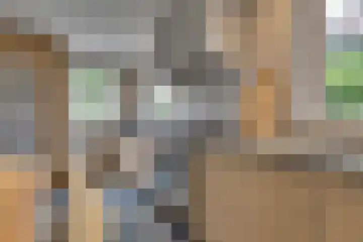 Hoveniersstraat 9 Baarlo thumbnail 22