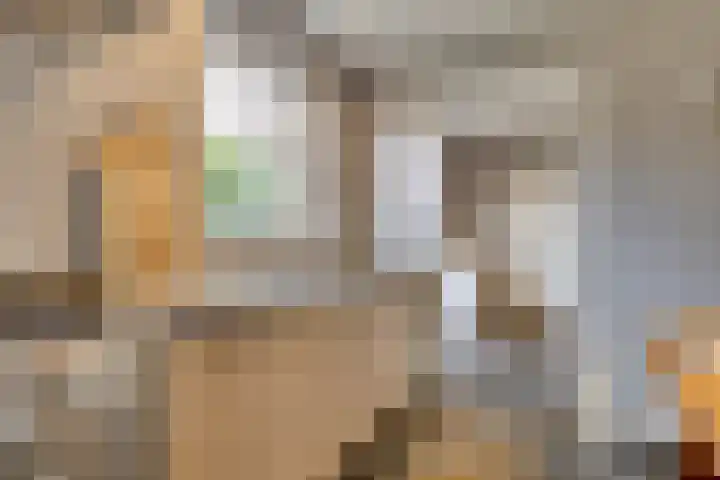 Hoveniersstraat 9 Baarlo thumbnail 24