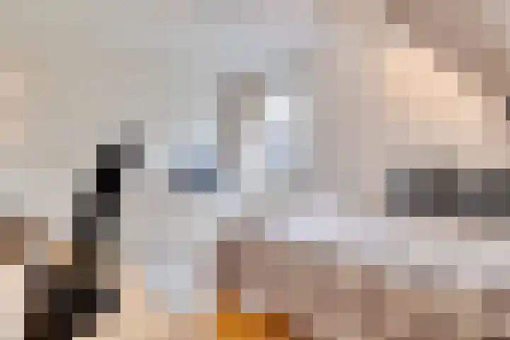 Hoveniersstraat 9 Baarlo thumbnail 32